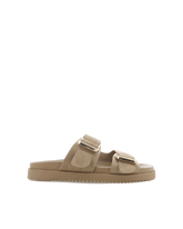 ADLEY - BISCUIT SUEDE