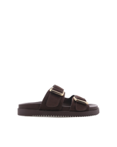 ADLEY - DARK CACAO SUEDE