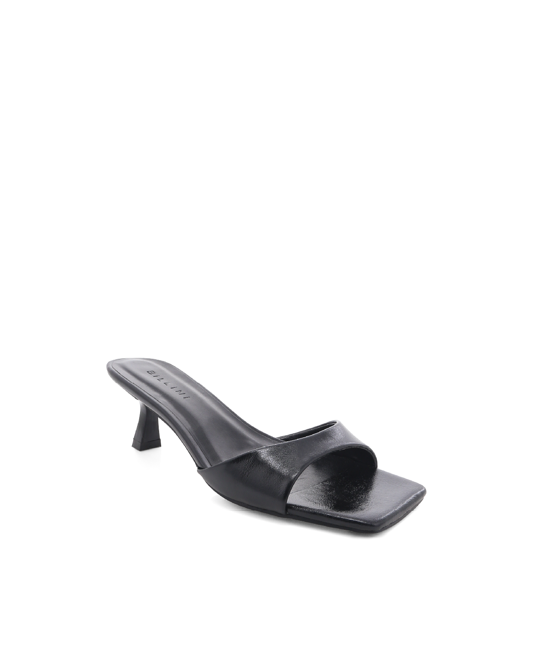 MEADOW - BLACK SHINE