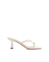 XANE - BONE