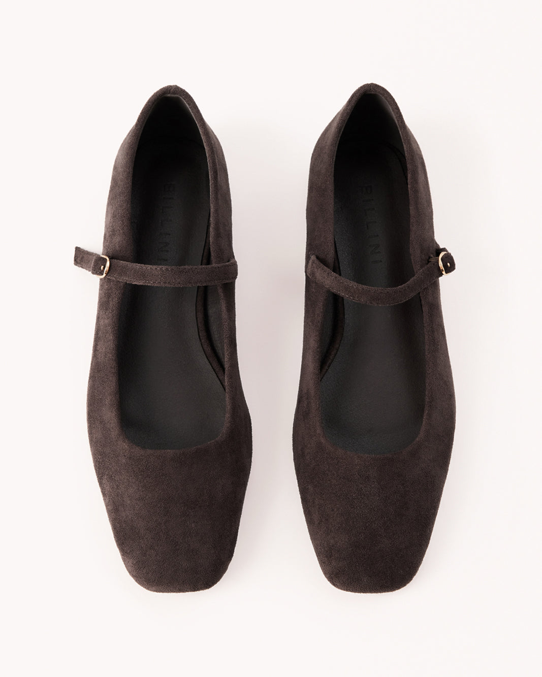 FION - DARK CACAO SUEDE