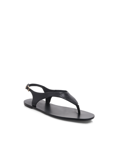HILLA - MATTE BLACK CROC