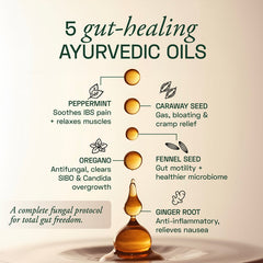 List of five gut-healing Ayurvedic oils with their benefits on a beige background.