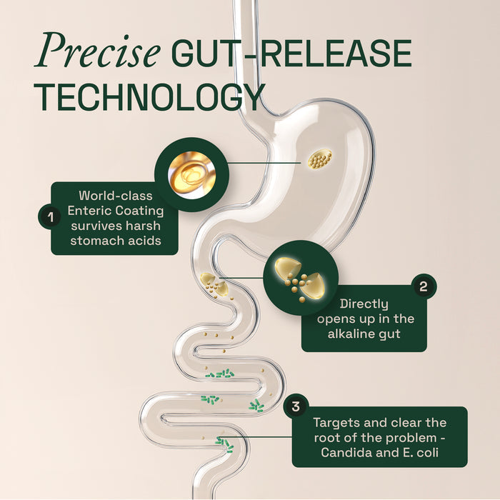 Diagram of precise gut-release technology with labeled steps on a beige background