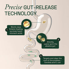 Diagram of precise gut-release technology with labeled steps on a beige background