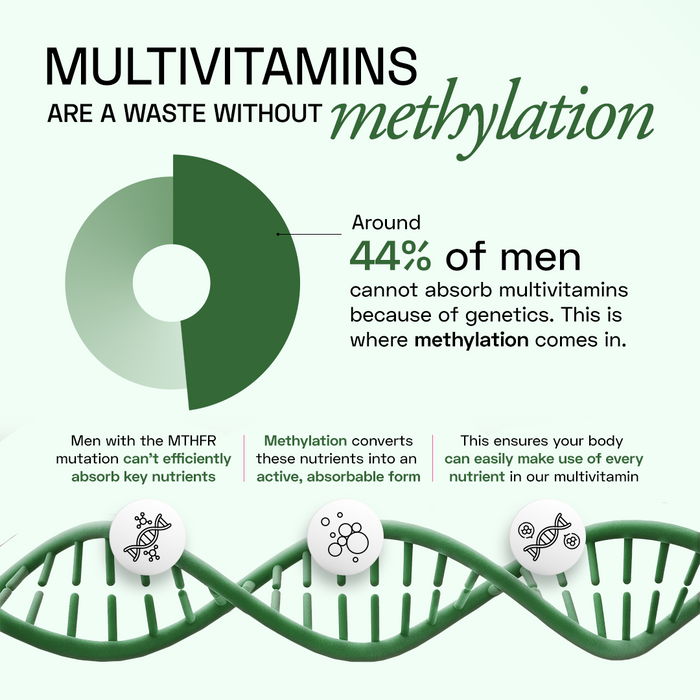 Men's Methylated Multivitamin