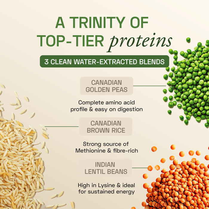 Plant Protein Complex