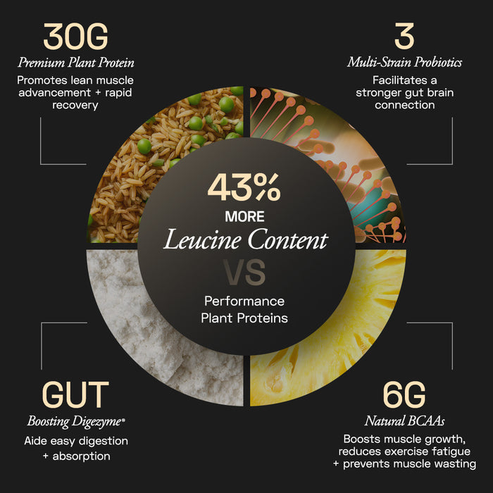 Premium Plant Protein | Intense