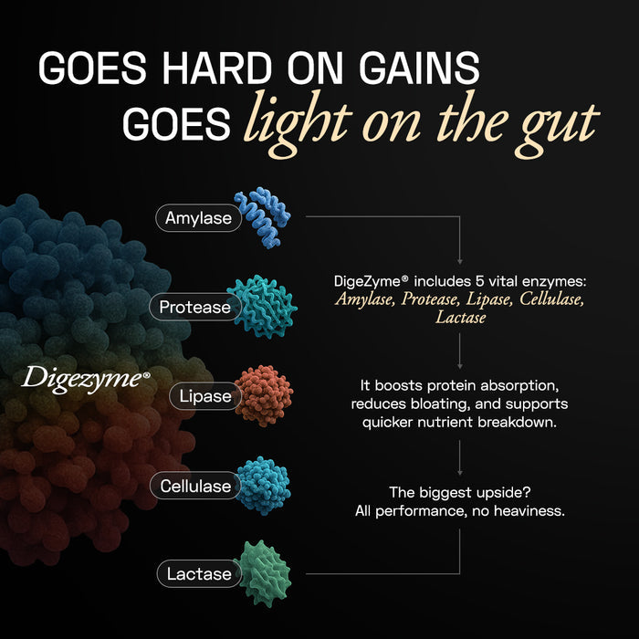 Premium Plant Protein | Intense