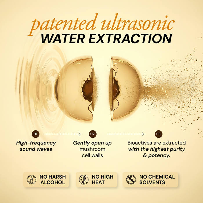 Pure Energy Shroom Concentrate