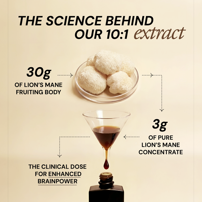 Pure Focus Shroom Concentrate