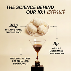 Pure Focus Shroom Concentrate