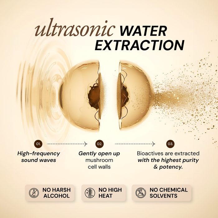 Pure Focus Shroom Concentrate